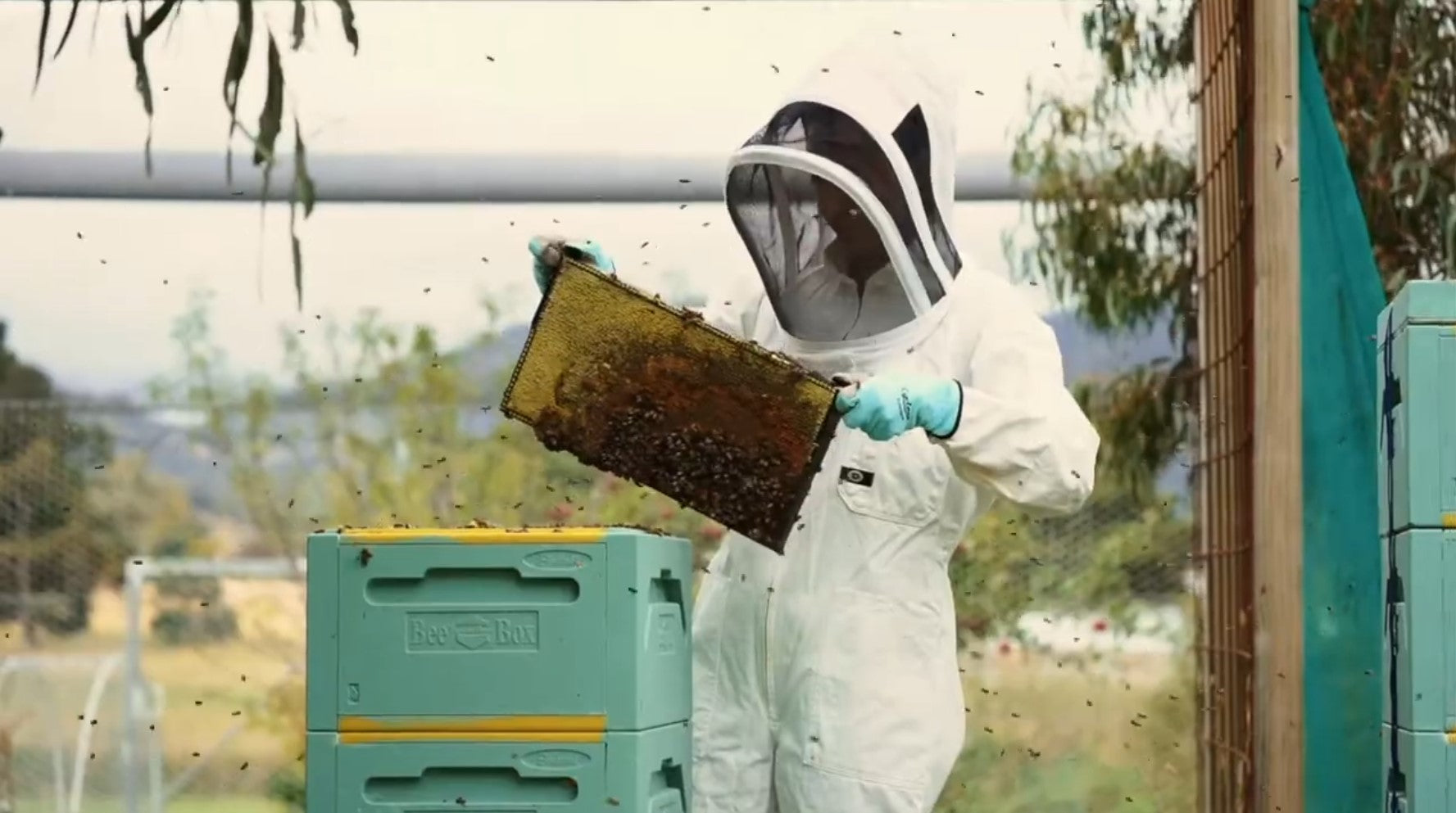 Load video: Behind the scenes at Honey and Glow: Australian beekeepers crafting natural skincare and beeswax products in Canberra